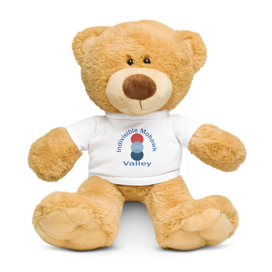 IMV-Teddy bear with a t-shirt